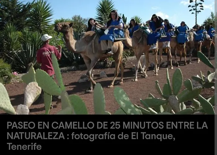 House To Relax Дом отдыха