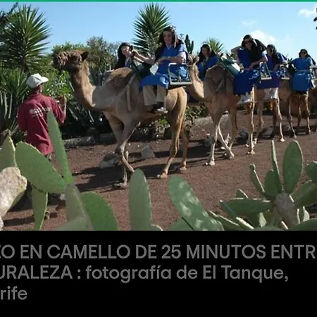 House To Relax Vakantiehuis