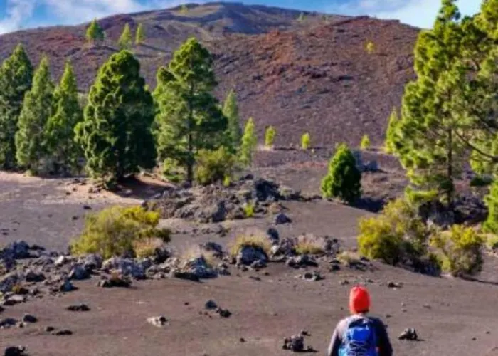 Holiday home House To Relax El Tanque