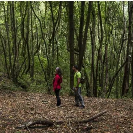 Semesterbostad House To Relax *