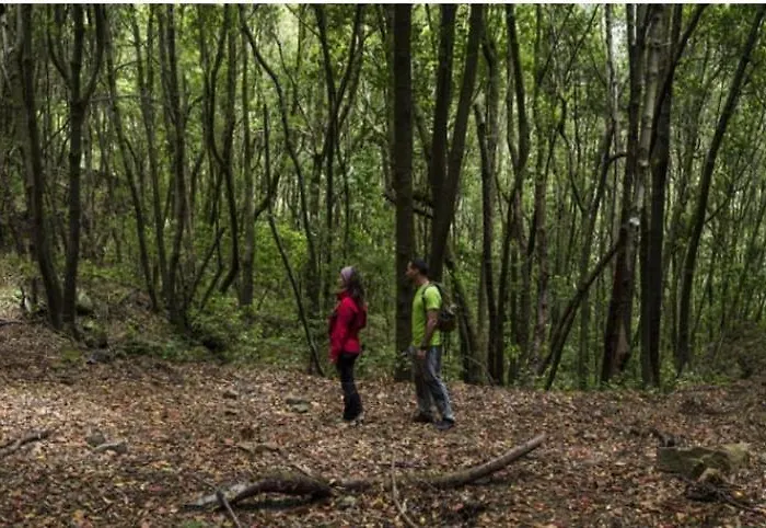 Hébergement de vacances House To Relax *